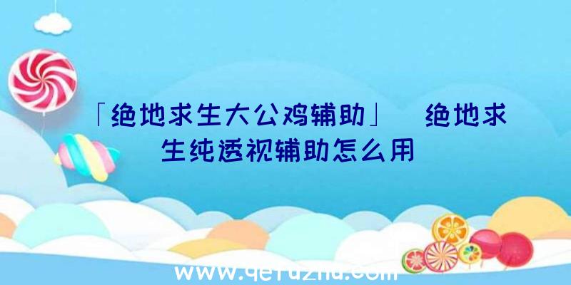 「绝地求生大公鸡辅助」|绝地求生纯透视辅助怎么用